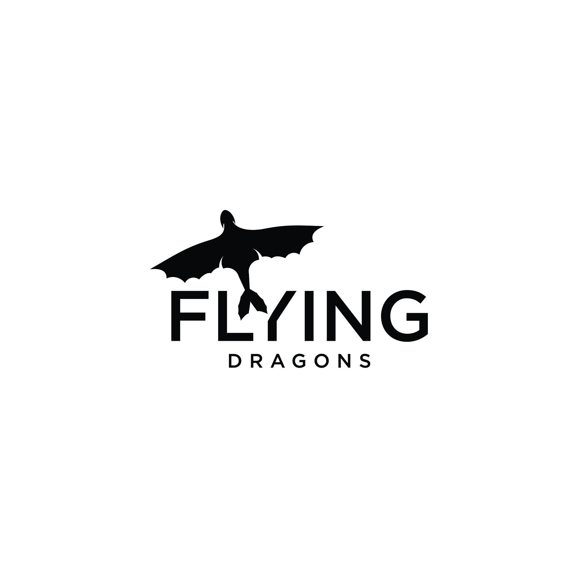 Flying Dragons - Aviation. Adventure. Own the Sky.